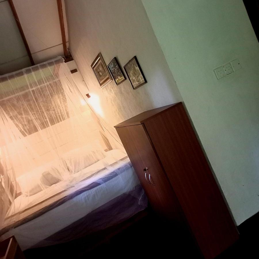 Ella Foret Accommodation Exterior photo